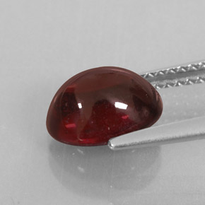 2,94 ctw natürlicher roter Almandin-Granat, Transparent, Transparent / Lichtdurchlässig