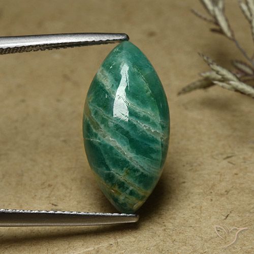 6.82ct Natürlicher Kieferngrün Amazonit, Marquise, Lichtundurchlässig