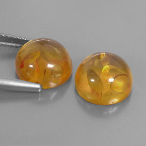  ct natürliche orangefarbener Bernstein-Edelsteine, Transparent, Transparent / Lichtdurchlässig
