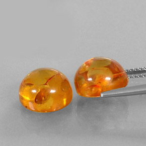  ct natürliche orangefarbener Bernstein-Edelsteine, Transparent, Transparent / Lichtdurchlässig