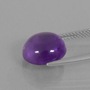 9,17 ctw natürlicher Mittelviolett Amethyst, Rund Schliff, Transparent