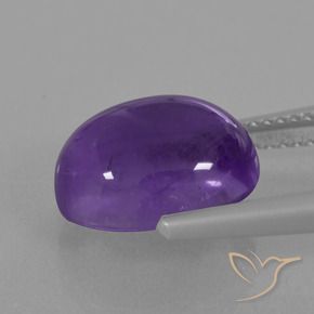 9,17 ctw natürlicher Mittelviolett Amethyst, Oval, Transparent