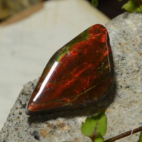 17.03ct Natürlicher Mehrfarbig Ammolith, Fantasie, Lichtundurchlässig