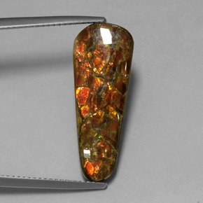 9,17 ctw natürlicher Mehrfarbig Ammolith, Ausgefallene Form, Lichtundurchlässig