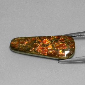 9,17 ctw natürlicher Mehrfarbig Ammolith, Ausgefallene Form, Lichtundurchlässig