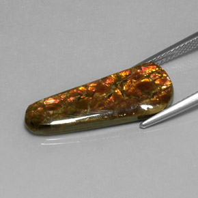 9,17 ctw natürlicher Mehrfarbig Ammolith, Ausgefallene Form, Lichtundurchlässig