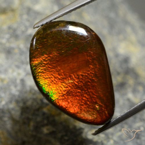 10.57ct Natürlicher Mehrfarbig Ammolith, Fantasie, Lichtundurchlässig