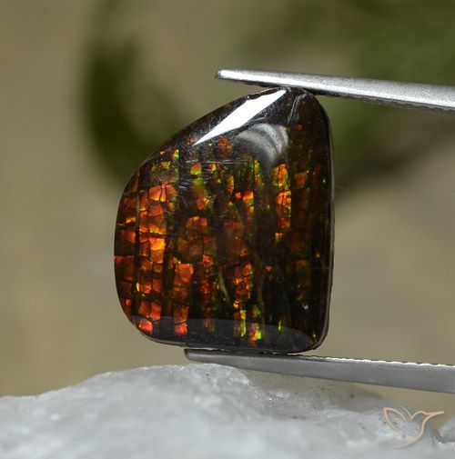 7.67ct Natürlicher Mehrfarbig Ammolith, Fantasie, Lichtundurchlässig
