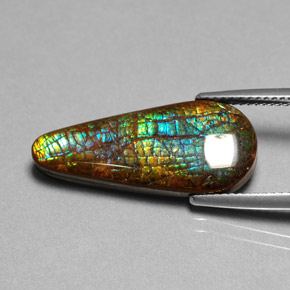 9,17 ctw natürlicher Mehrfarbig Ammolith, Birnenform, Lichtundurchlässig