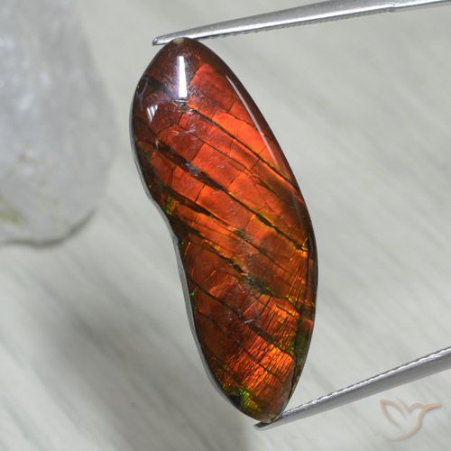 15.54ct Natürlicher Mehrfarbig Ammolith, Fantasie, Lichtundurchlässig