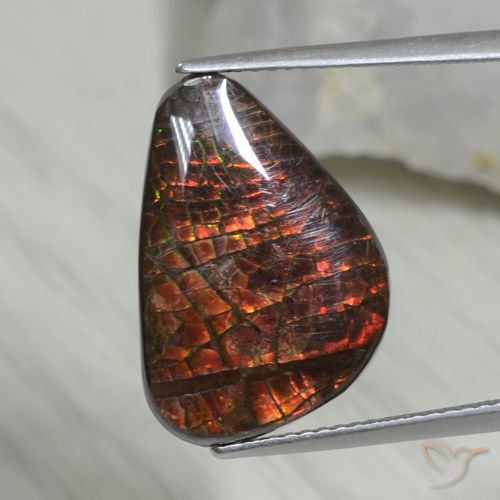 8.09ct Natürlicher Mehrfarbig Ammolith, Fantasie, Lichtundurchlässig