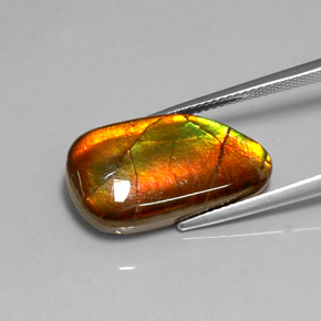 9,17 ctw natürlicher Mehrfarbig Ammolith, Ausgefallene Form, Lichtundurchlässig