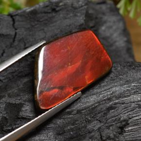 9,17 ctw natürlicher Mehrfarbig Ammolith, Ausgefallene Form, Lichtundurchlässig