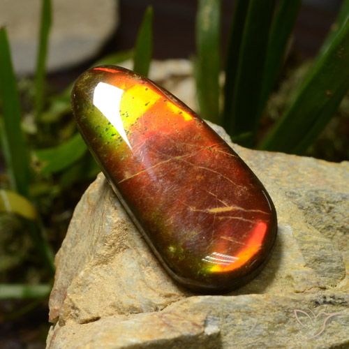 23.51ct Natürlicher Mehrfarbig Ammolith, Fantasie, Lichtundurchlässig