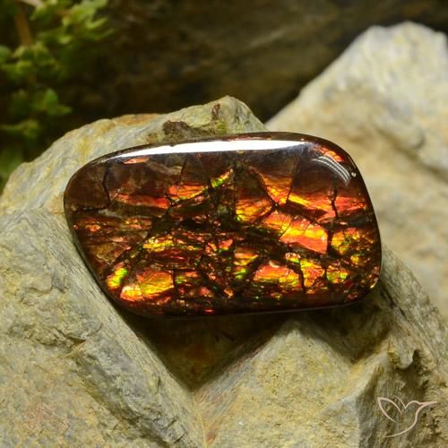17.42ct Natürlicher Mehrfarbig Ammolith, Fantasie, Lichtundurchlässig
