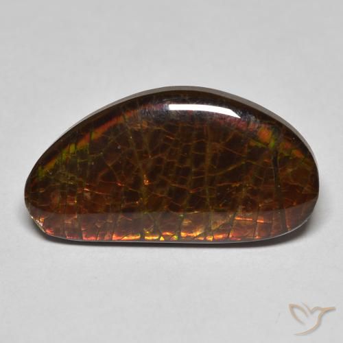 8.23ct Natürlicher Mehrfarbig Ammolith, Fantasie, Lichtundurchlässig
