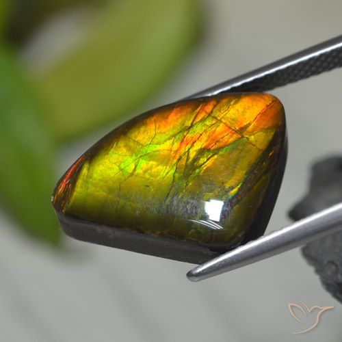 8.39ct Natürlicher Mehrfarbig Ammolith, Fantasie, Lichtundurchlässig