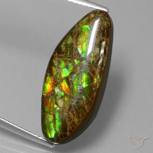 9.86ct Natürlicher Mehrfarbig Ammolith, Fantasie, Lichtundurchlässig