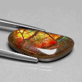 9,17 ctw natürlicher Mehrfarbig Ammolith, Ausgefallene Form, Lichtundurchlässig