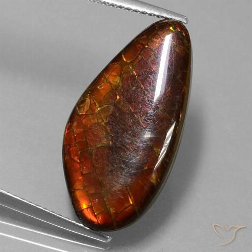 9.99ct Natürlicher Mehrfarbig Ammolith, Fantasie, Lichtundurchlässig