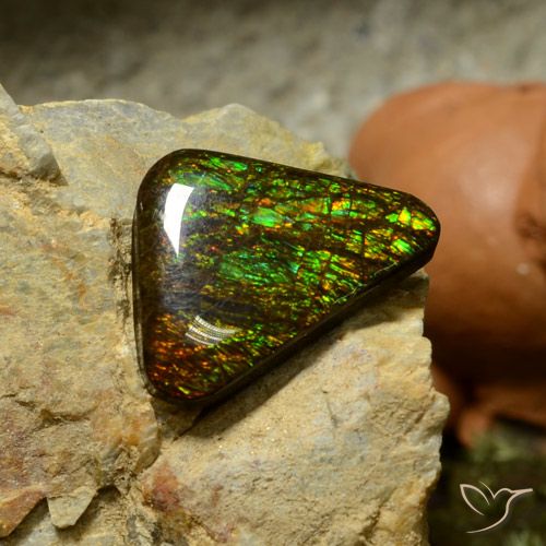 10.34ct Natürlicher Mehrfarbig Ammolith, Trillion, Lichtundurchlässig