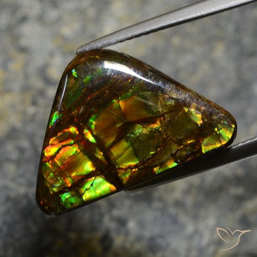 11.39ct Natürlicher Mehrfarbig Ammolith, Fantasie, Lichtundurchlässig