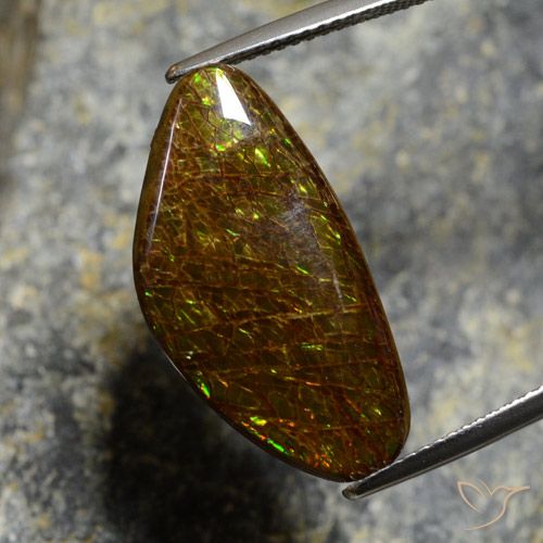 11.88ct Natürlicher Mehrfarbig Ammolith, Fantasie, Lichtundurchlässig