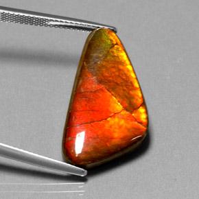 9,17 ctw natürlicher Mehrfarbig Ammolith, Ausgefallene Form, Lichtundurchlässig