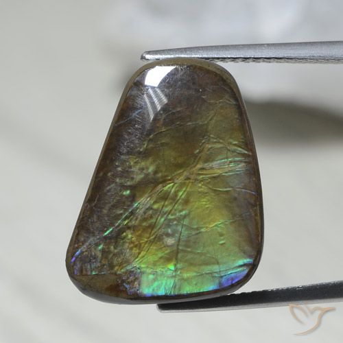 12.08ct Natürlicher Mehrfarbig Ammolith, Fantasie, Lichtundurchlässig