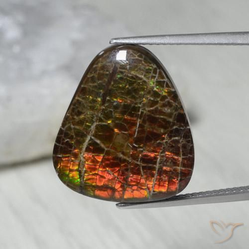 13.62ct Natürlicher Mehrfarbig Ammolith, Fantasie, Lichtundurchlässig