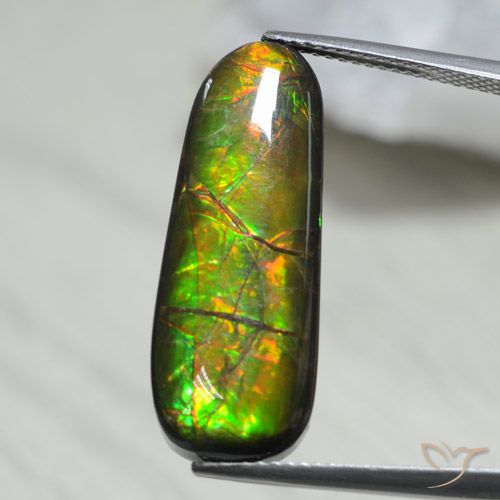 13.66ct Natürlicher Mehrfarbig Ammolith, Fantasie, Lichtundurchlässig