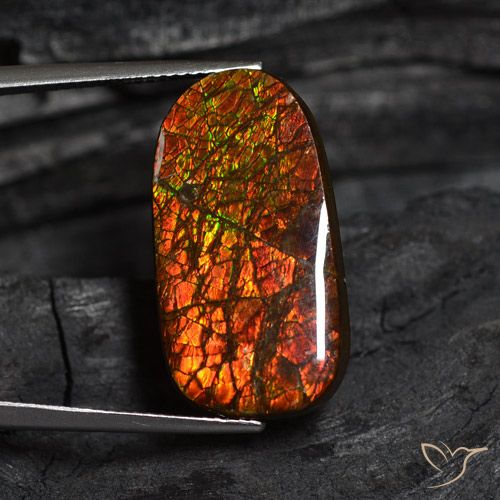 14.13ct Natürlicher Mehrfarbig Ammolith, Fantasie, Lichtundurchlässig