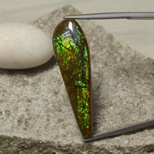 14.49ct Natürlicher Mehrfarbig Ammolith, Fantasie, Lichtundurchlässig