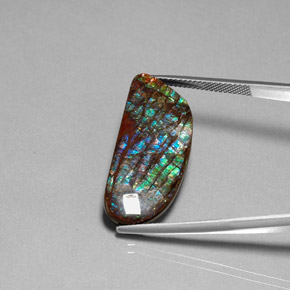 9,17 ctw natürlicher Mehrfarbig Ammolit, Ausgefallene Form, Lichtundurchlässig