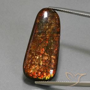 21.40ct Natürlicher Mehrfarbig Ammolith, Fantasie, Lichtundurchlässig