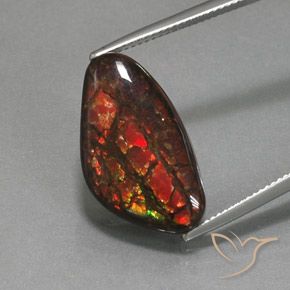 12.58ct Natürlicher Mehrfarbig Ammolith, Fantasie, Lichtundurchlässig