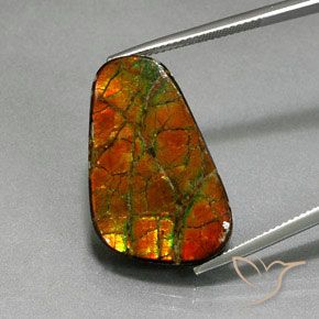 18.59ct Natürlicher Mehrfarbig Ammolith, Fantasie, Lichtundurchlässig