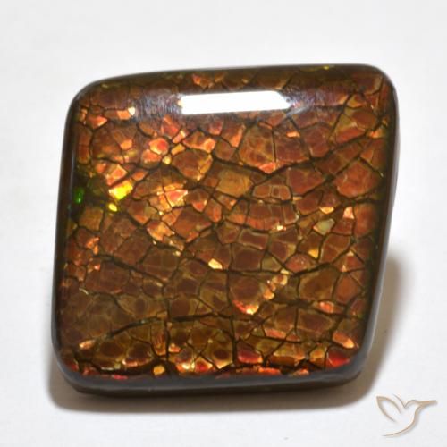 20.34ct Natürlicher Mehrfarbig Ammolith, Fantasie, Lichtundurchlässig