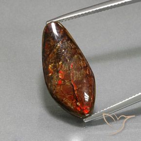 11.37ct Natürlicher Mehrfarbig Ammolith, Fantasie, Lichtundurchlässig