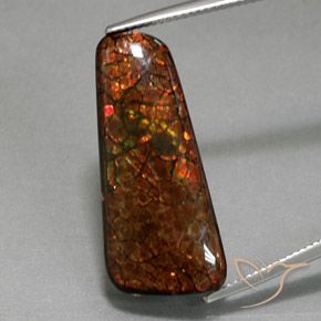 18.38ct Natürlicher Mehrfarbig Ammolith, Fantasie, Lichtundurchlässig