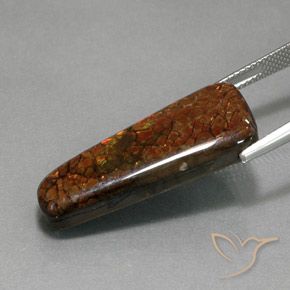 9,17 ctw natürlicher Mehrfarbig Ammolith, Fantasie, Lichtundurchlässig