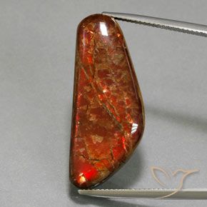 17.60ct Natürlicher Mehrfarbig Ammolith, Fantasie, Lichtundurchlässig
