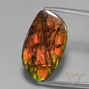 13.27ct Natürlicher Mehrfarbig Ammolith, Fantasie, Lichtundurchlässig
