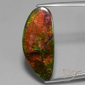 12.10ct Natürlicher Mehrfarbig Ammolith, Fantasie, Lichtundurchlässig