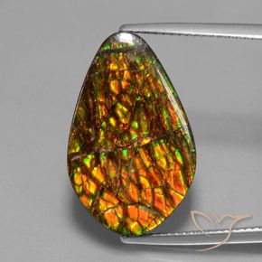 14.79ct Natürlicher Mehrfarbig Ammolith, Fantasie, Lichtundurchlässig