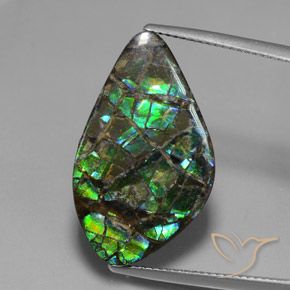 15.28ct Natürlicher Mehrfarbig Ammolith, Fantasie, Lichtundurchlässig