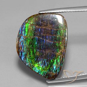 15.82ct Natürlicher Mehrfarbig Ammolith, Fantasie, Lichtundurchlässig