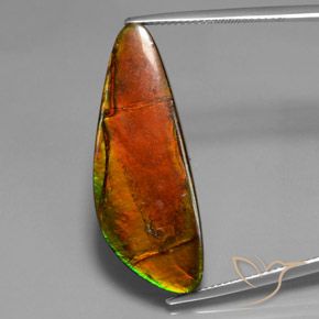 18.60ct Natürlicher Mehrfarbig Ammolith, Fantasie, Lichtundurchlässig, Photo A