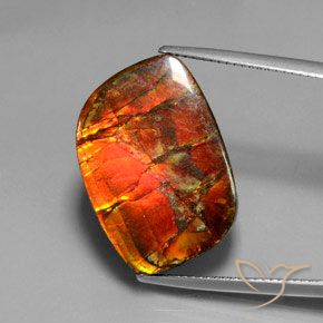 17.18ct Natürlicher Mehrfarbig Ammolith, Fantasie, Lichtundurchlässig