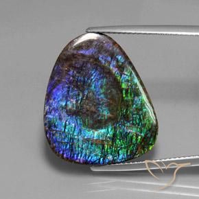18.37ct Natürlicher Mehrfarbig Ammolith, Fantasie, Lichtundurchlässig